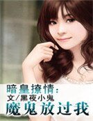 暗皇撩情:魔鬼放过我
