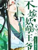 不嫁妖孽王爺