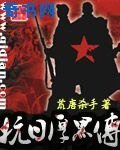 抗日厚黑传