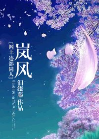 (網王+花樣同人)嵐風