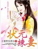 状元辣妻