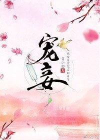 宠妾(作者:简小酌)