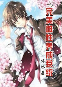 完美系統/完美養成系統/完美雌性養成系統