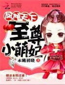 凤倾天下:至尊小萌妃