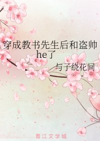 （综武侠同人）穿成教书先生后和盗帅he了