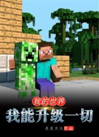 我的世界:我能升级一切