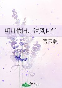 明月依旧，清风且行