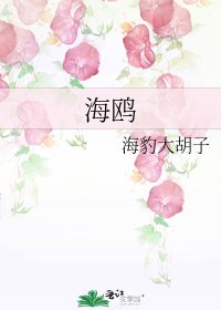 海鸥