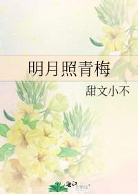 明月照青梅