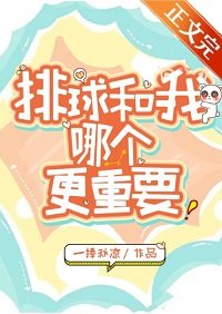 (綜漫同人)我和排球哪個更重要?