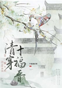 (清穿同人)清穿十福晋